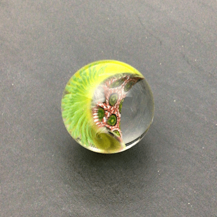 Alternative view of Large Nudibranch Marble