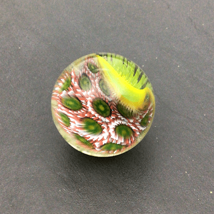 Large Nudibranch Marble