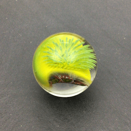 Large Nudibranch Marble - Image 3