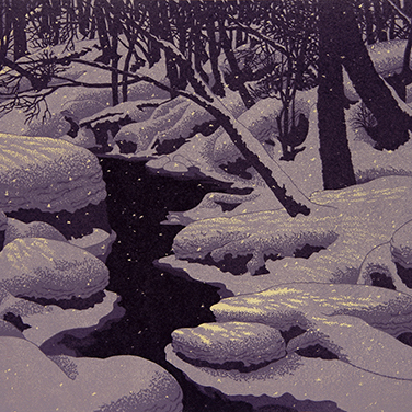 Winter Blanket