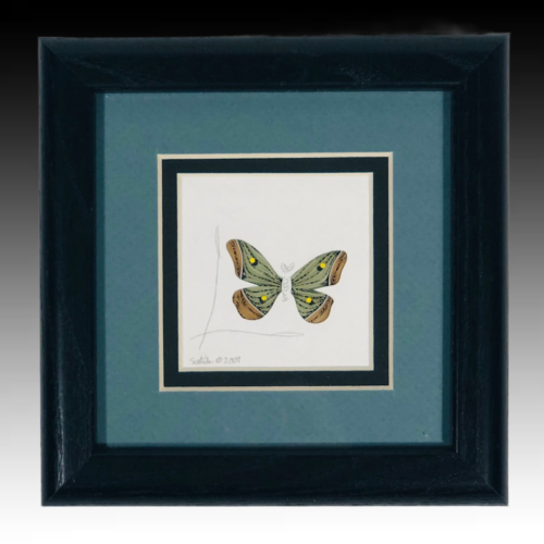 Silk Moth Quilling Framed