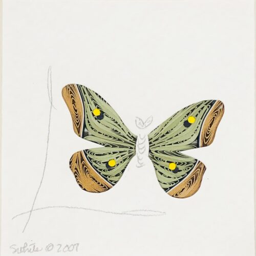 Alternative view of Silk Moth Quilling Framed