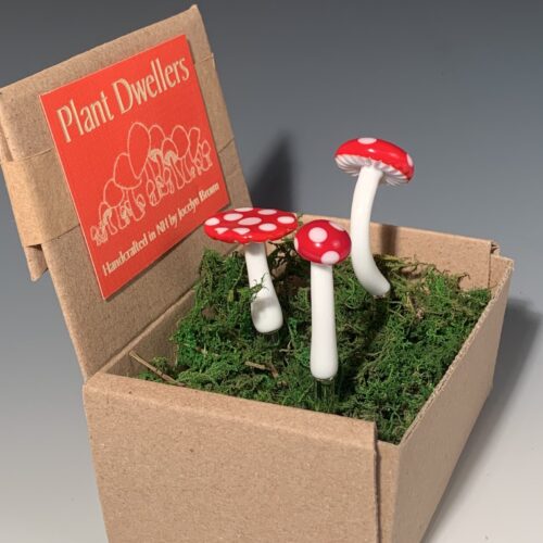 Alternative view of Glass Plant Dwellers