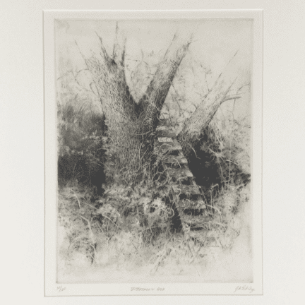 Framed Bittersweet Ash Print