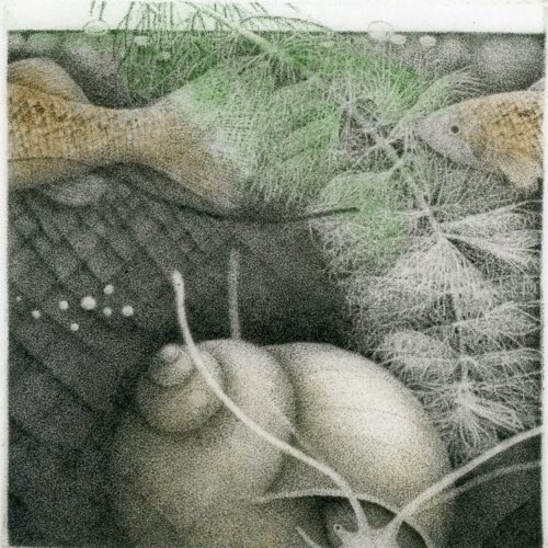 Alternative view of Snail Etching