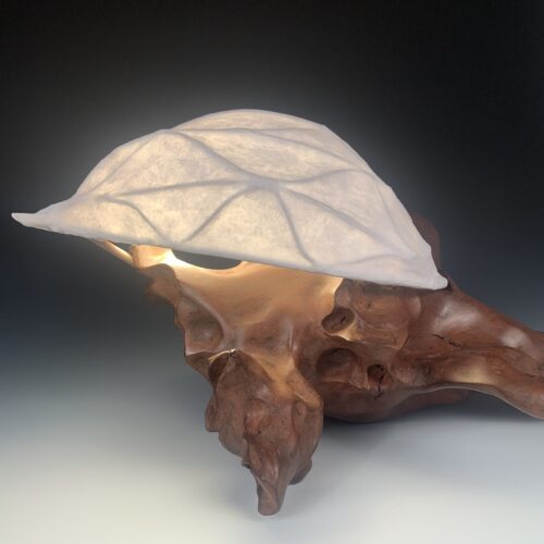 Cypress Driftwood Lamp