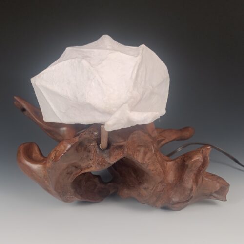 Cypress Driftwood Lamp - Image 4