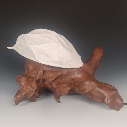 Alternative view of Cypress Driftwood Lamp