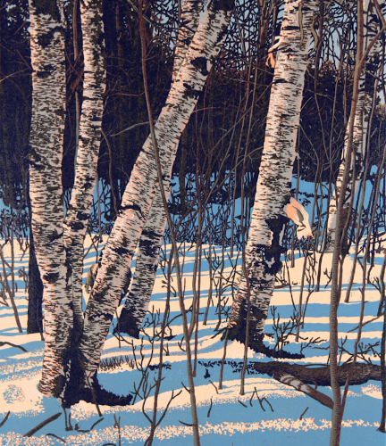 "White Birch Shadows" Serigraph Print