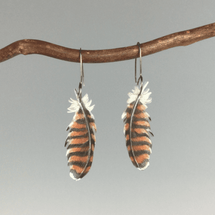 Red Tail Hawk Feather Earrings