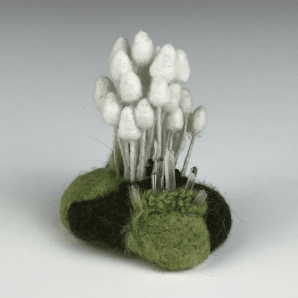 Alternative view of Felted Muschroom Specimen