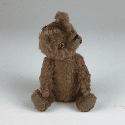 Alternative view of Bear - "Klaus"