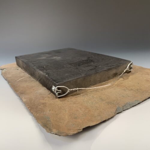 Alternative view of Bird on a Wire