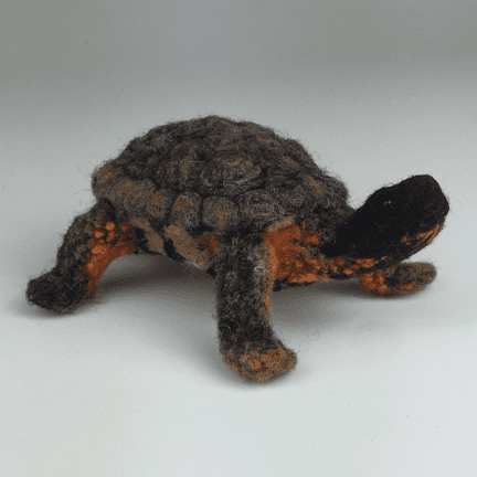 Felted Wood Turtle