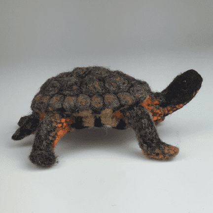 Alternative view of Felted Wood Turtle