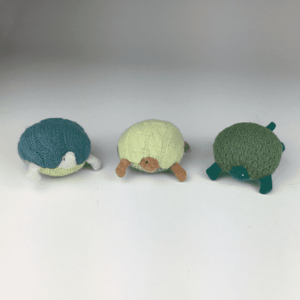 Baby Sweater Turtles