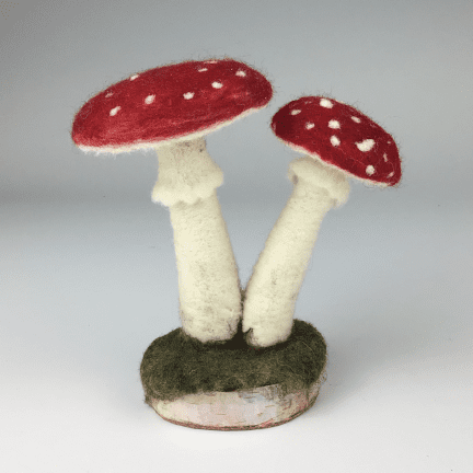 Felted Fungi
