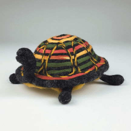 Alternative view of Fiber Turtle