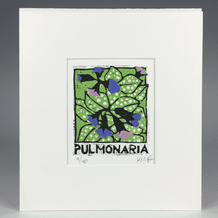 Alternative view of "Pulmonaria" Matted Woodblock Print