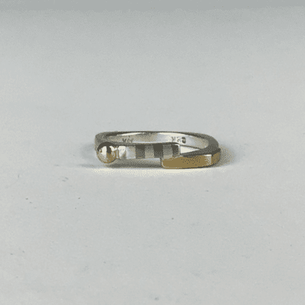 Alternative view of Silver and Gold Ring