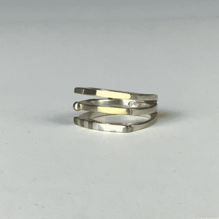 Silver and Gold Ring
