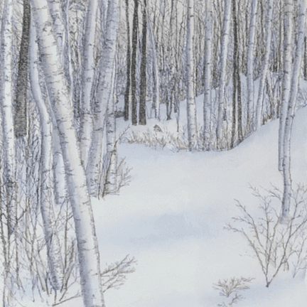 Alternative view of "Birches and Snow" Copperplate Etching