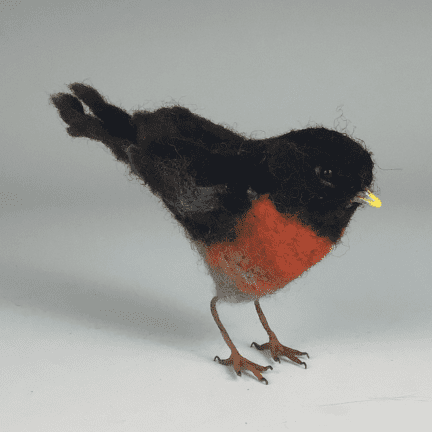 Alternative view of Fiber Robin
