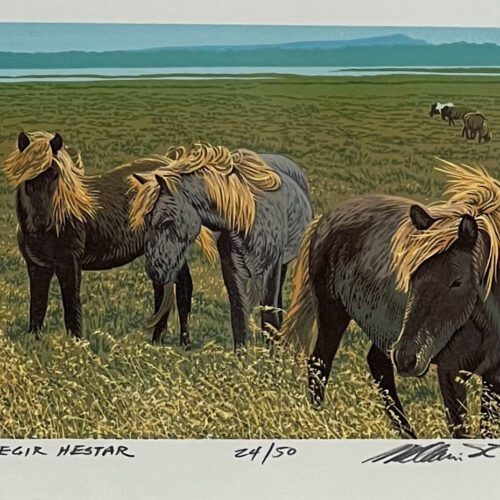 Alternative view of Fallegir Hestar