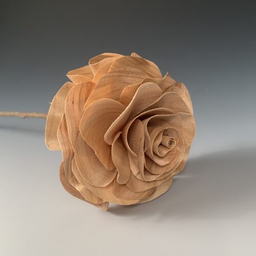 Red Maple Long Stem Rose