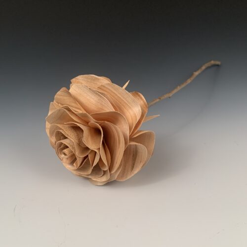 Alternative view of Red Maple Long Stem Rose