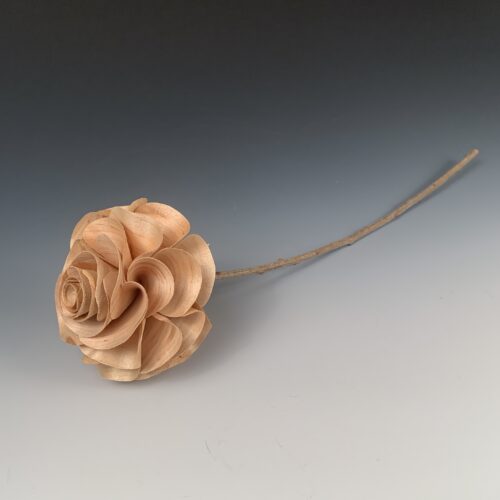 Alternative view of Red Maple Long Stem Rose