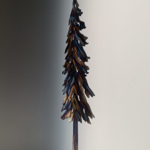Alternative view of Small Lone Pine