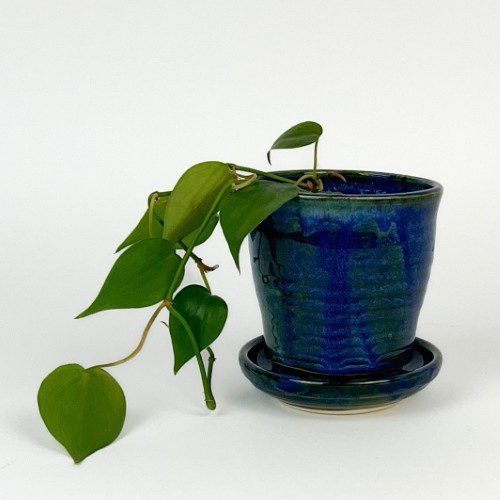Small Indigo Planter