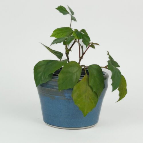 Blue Planter/Cache Pot