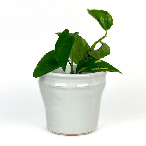 White Planter/Cache Pot