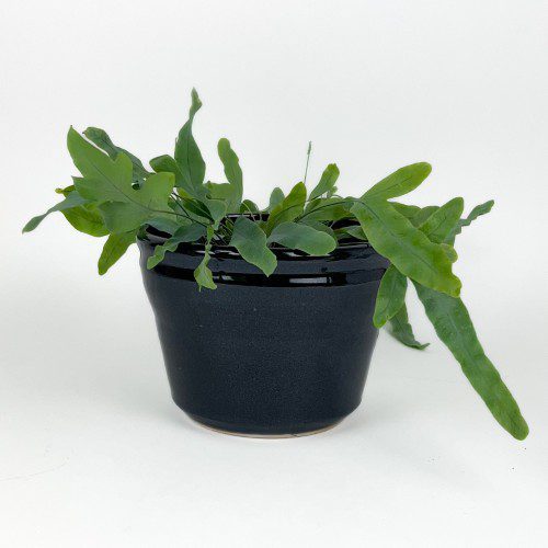 Black Planter/Cache Pot
