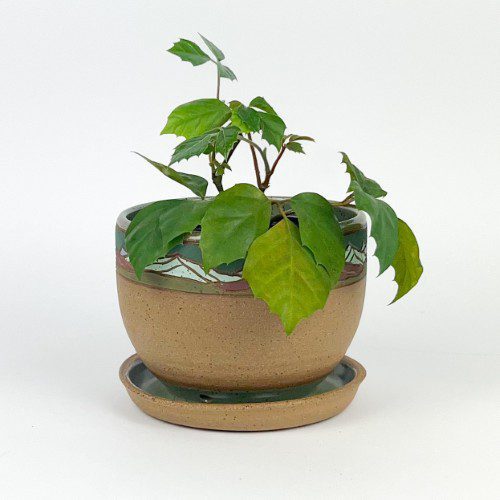 Mountain Planter