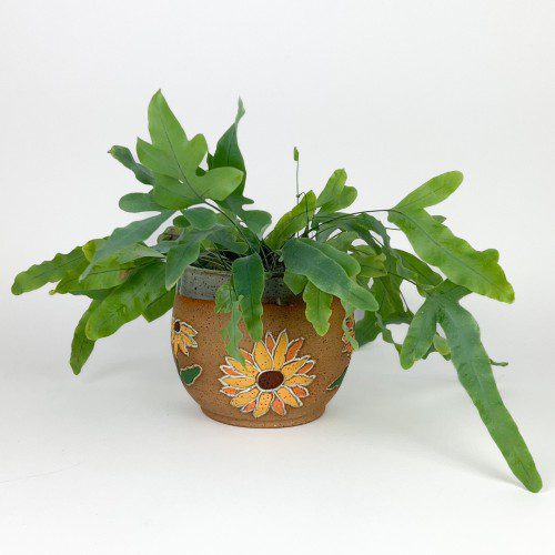 Flower Planter