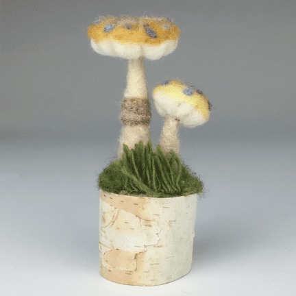 Felted Mushroom
