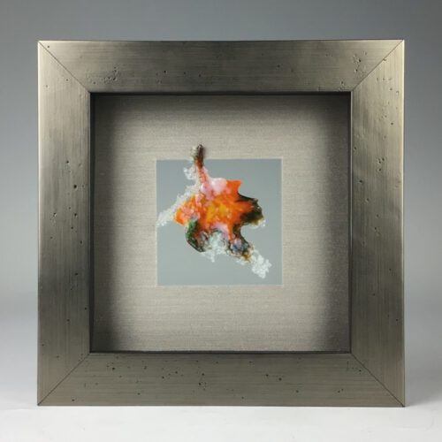 "Surprise Visitor" Framed Glass Shadow Box