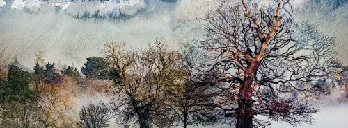 Alternative view of Morning Mist