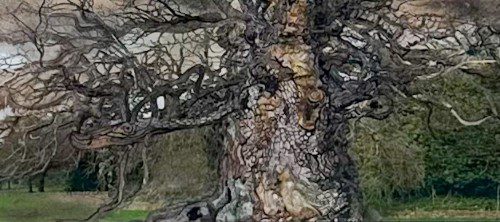 Alternative view of Introspection 3