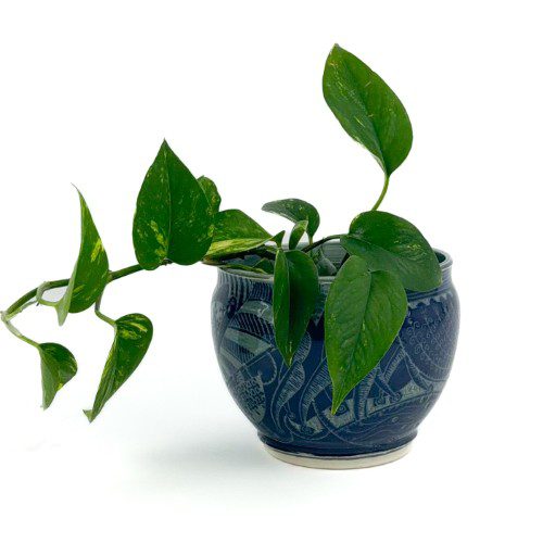 Alternative view of Ceramic Sgrafitto Bowl