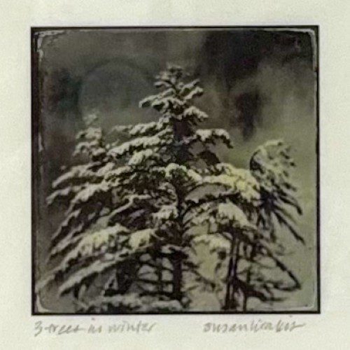 Alternative view of Framed Photograph Three Trees in Winter