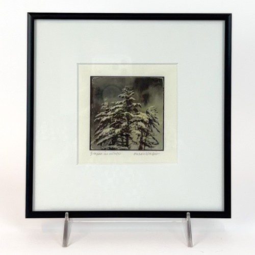 Framed Photograph Three Trees in Winter