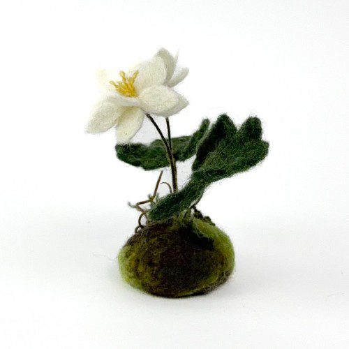 Alternative view of Felted Double Bloodroot