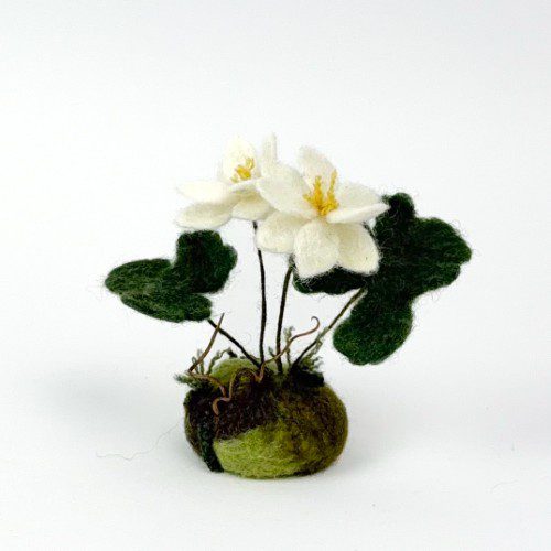 Felted Double Bloodroot