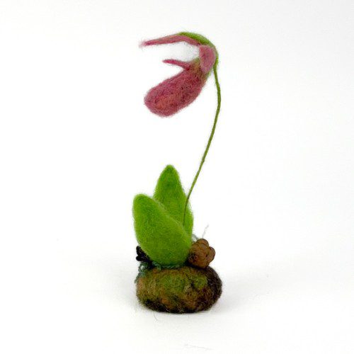 Alternative view of Felted Pink Lady Slipper