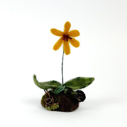 Felted Trout Lily