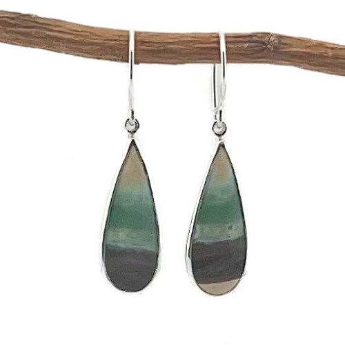 Opalized Wood Earrings